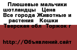 Плюшевые мальчики шотландцы › Цена ­ 500 - Все города Животные и растения » Кошки   . Тверская обл.,Торжок г.